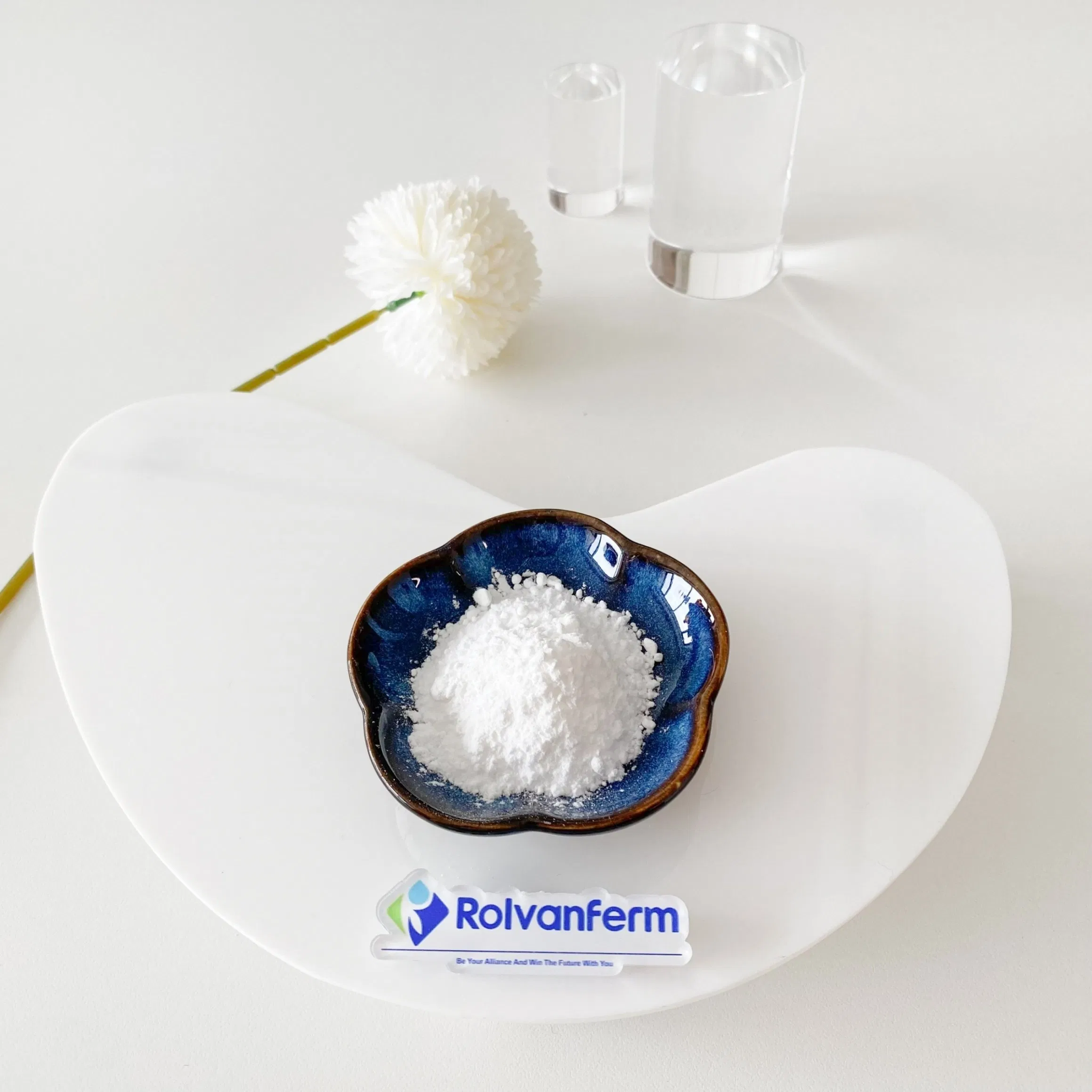 High-Bioavailability Liposome Dihydromyricetin for Antioxidant Support and Functional Nutrition Applications