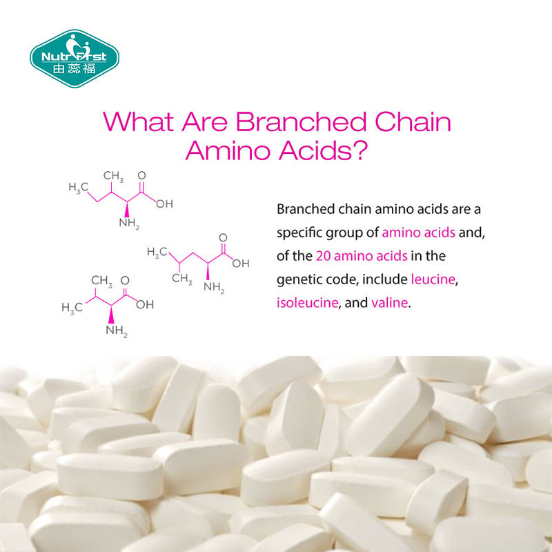Bcaa Diet Supplement Branched Chain Amino Acid Tablets Bcaa 2: 1: 1 Pill