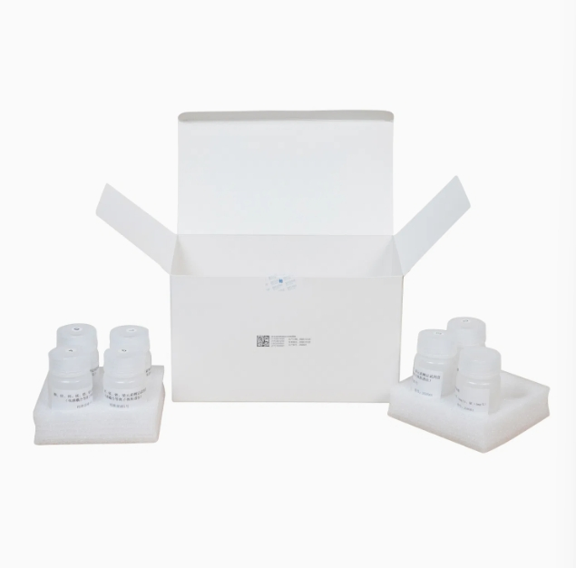 Premium Pediatric Nutrition with Strict Heavy Metal Icp-Ms for Child Development