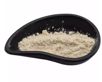 Bulk Whey Protein Concentrate WPC 80% Whey Protein Isolate Wpi 90% Whey Protein Powder