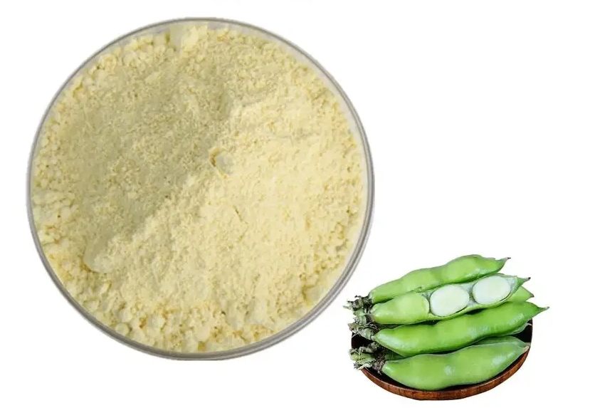 Easy-Mix Fava Bean Powder for Muscle Support and Sports Nutrition