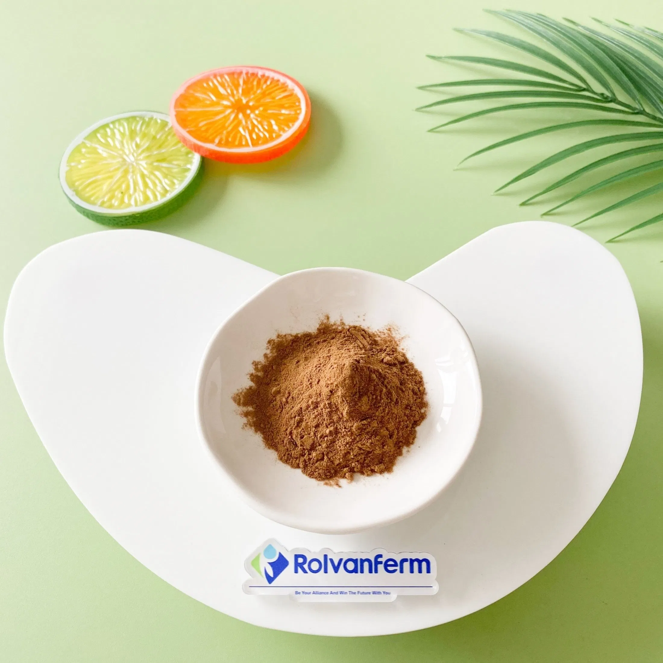 Erigeron Breviscapus Extract Dengzhanhua Plant Extract for Functional Foods and Botanical Applications