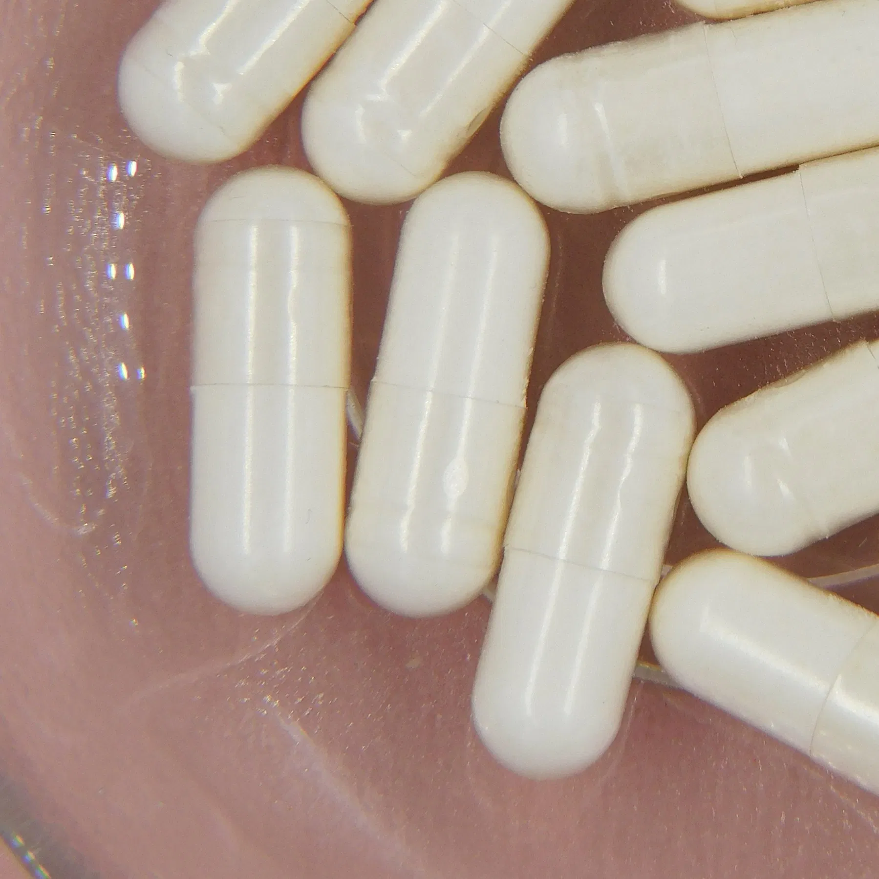 Probiotic Energy Booster for Enhanced Immune System Support