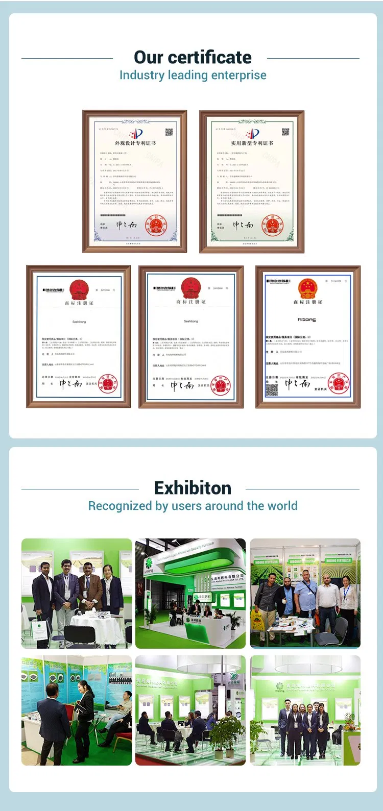 Product details infographic 2