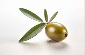 CAS 32619-42-4 High Purity Olive Leaf Extract Powder for Antioxidant and Immune Support