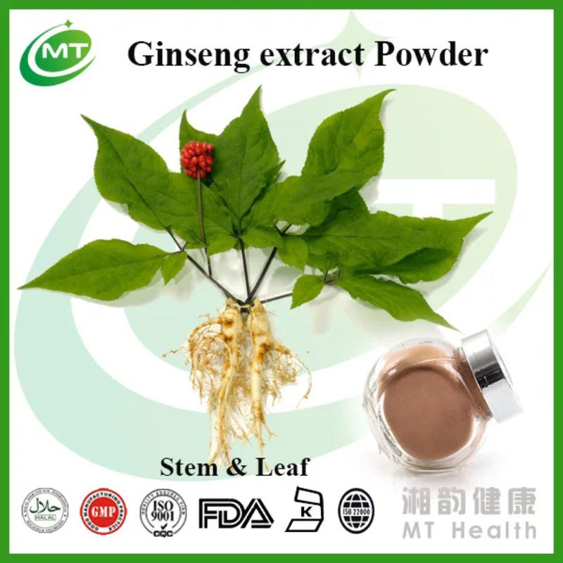 Natural Supplement Panax Ginseng Root Extract Powder Herbal Leaf Stem Extract