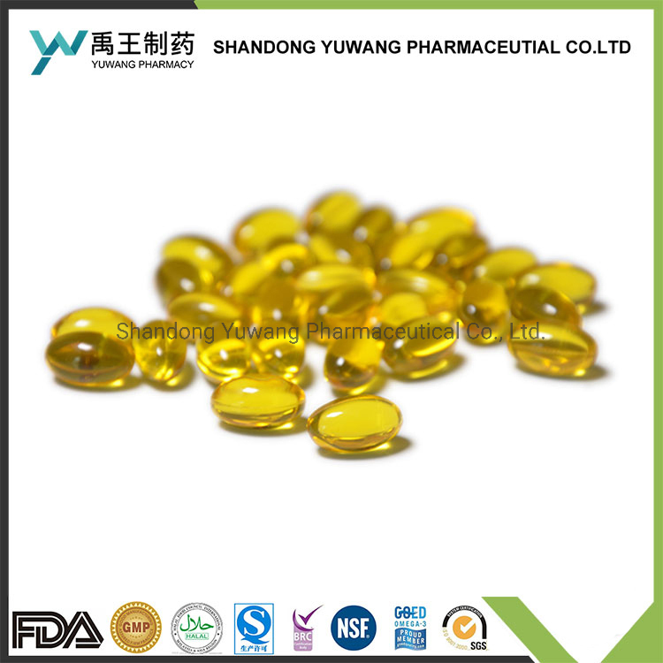 OEM Omega 3 Supplements for Brain Health