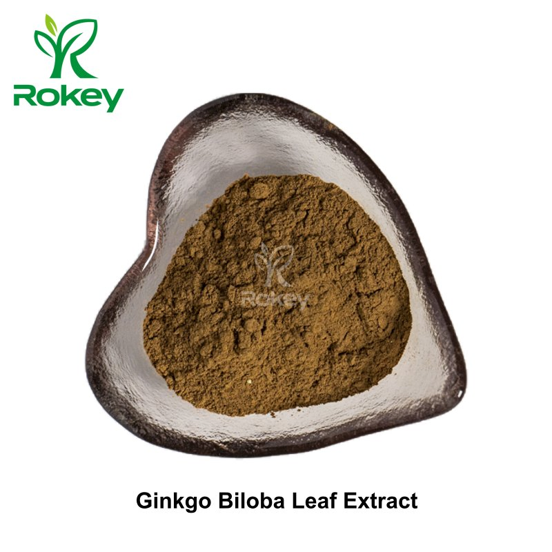 Premium Brain &amp; Circulation Support Supplement Ginkgo Biloba Leaf Extract