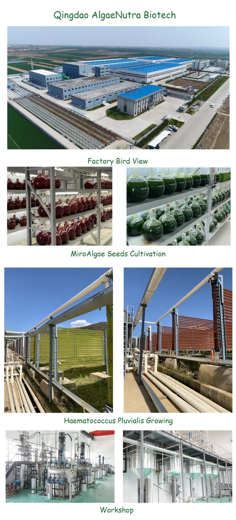 Factory View - Natural Astaxanthin