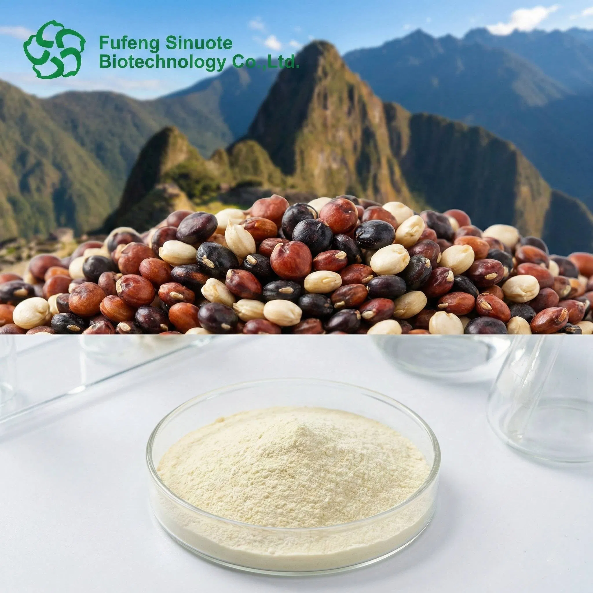 Quinoa Extract (Chenopodium quinoa) Ratio 10: 1 20: 1 50: 1 Natural Peptide Source for Vegan Collagen &amp; Muscle Recovery cGMP