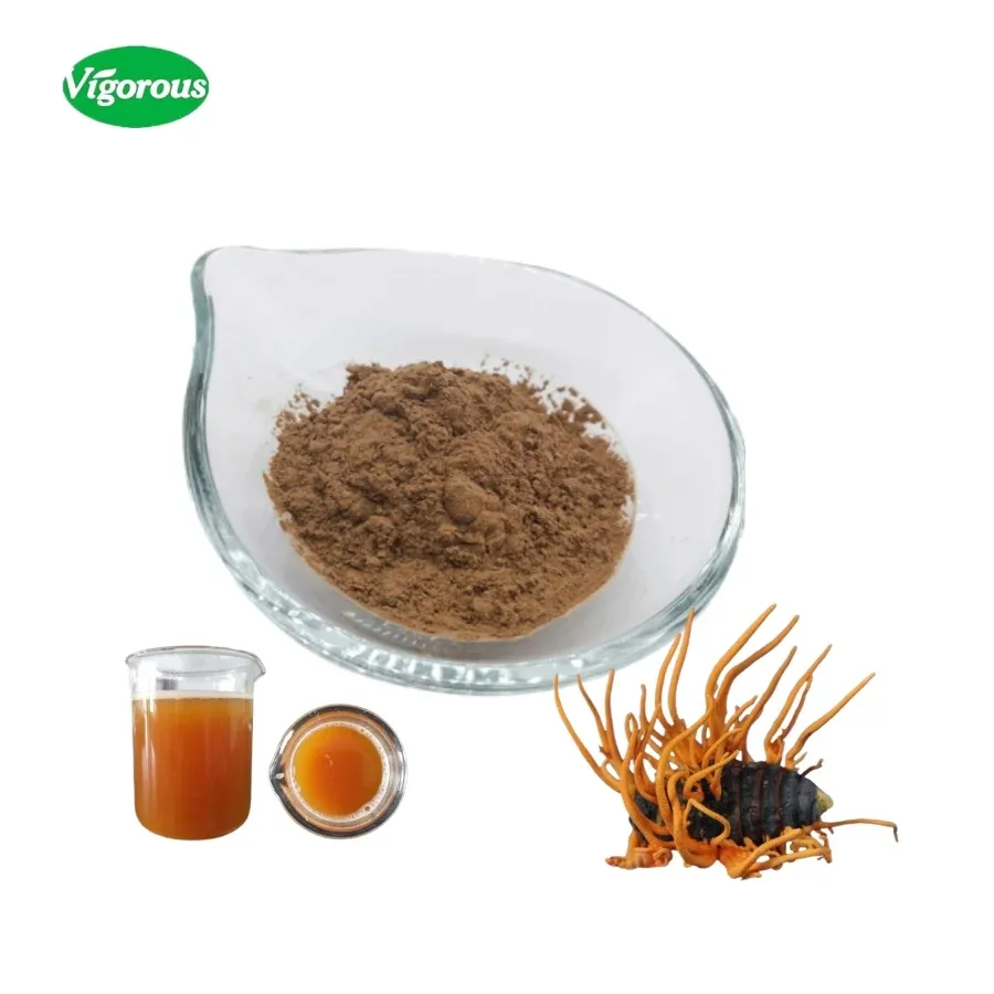 Cordyceps Militaris Extract Powder