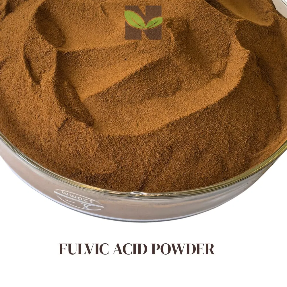 Premium 50% Fulvic Acid Powder for Enhanced Nutrient Absorption in Aquaculture