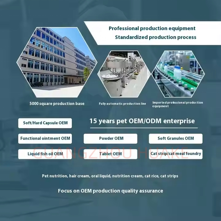 High-Potency Vitamin D3 B Complex Blend for Energy Metabolism and Dental Health Pet Multivitamin