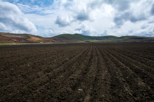 Production Efficiency