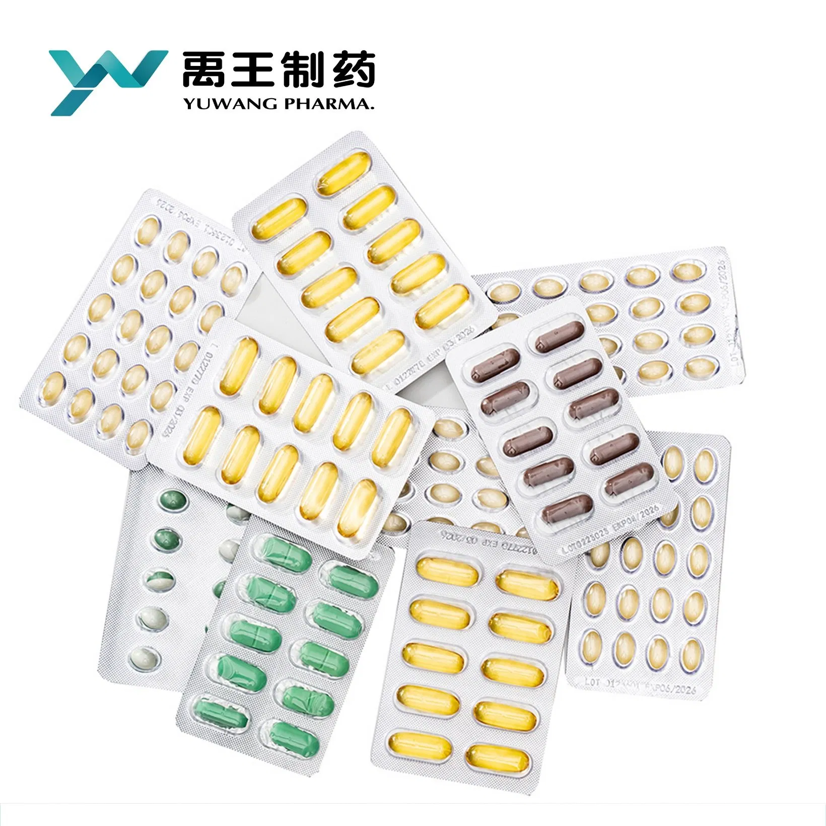 Supplement for Women Health Antioxidant Supports Brain, Body and Immune Functions Omega3-6-9 EPA DHA Fish Oil