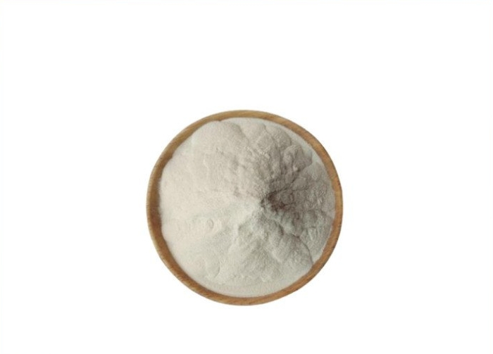 Easy-Mix Fava Bean Powder for Muscle Support and Sports Nutrition