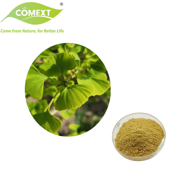 Comext Manufacturer Nutraceutical Plant Herbal Extract Powder Ginkgo Biloba Leaf Extract