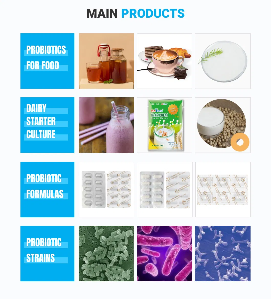 Probiotics Powder Lactobacillus Helveticus Lh-G51 for OEM/ODM Raw Materials Manufacturer Supply