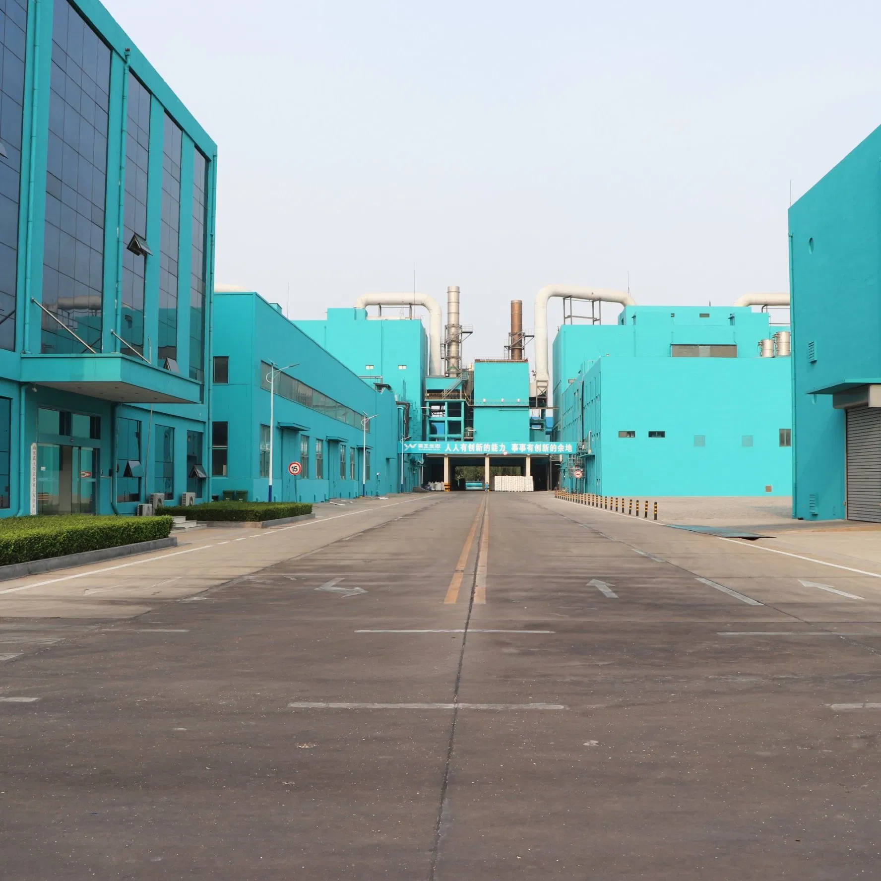 China Leading Manufacturer of Soy Protein Powder Direct Factory Price for Global Business Partners