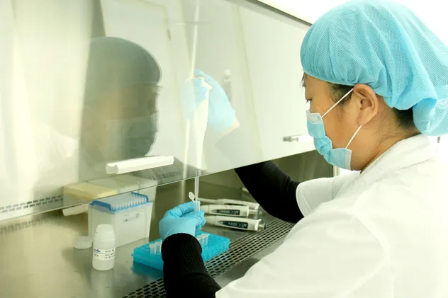 Soy Protein Sample 3