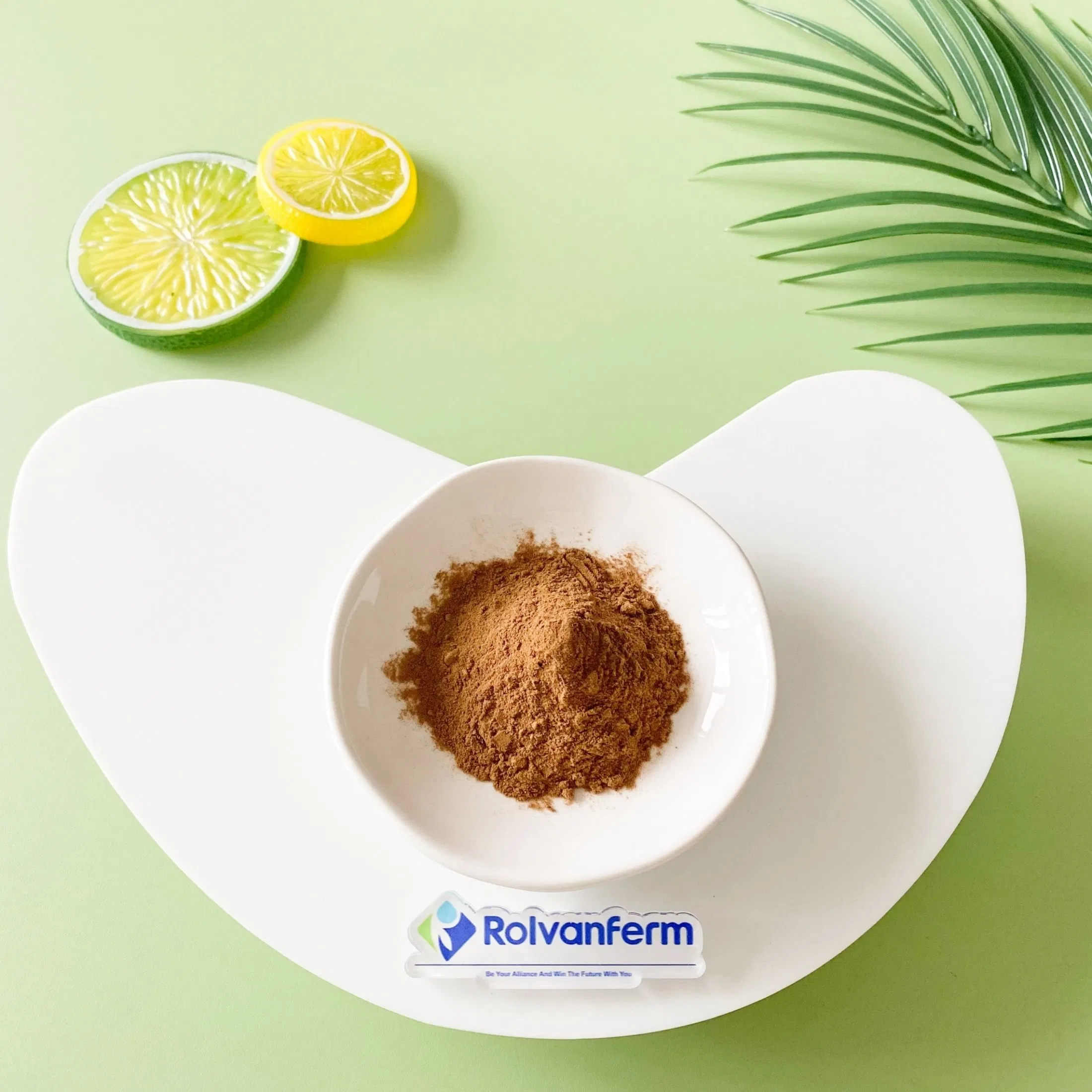 Salvia Plebeia Extract Rich in Flavonoids and Polyphenols for Botanical and Nutraceutical Applications