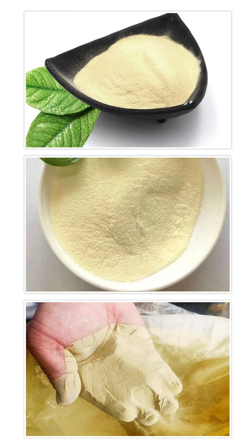 Detailed Product View