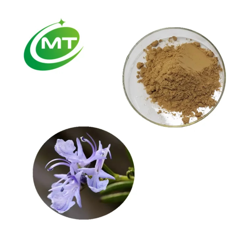 Health Supplements Rosemary Rosmarinic Acid Cosmetics Grade Rosemary Extract Powder