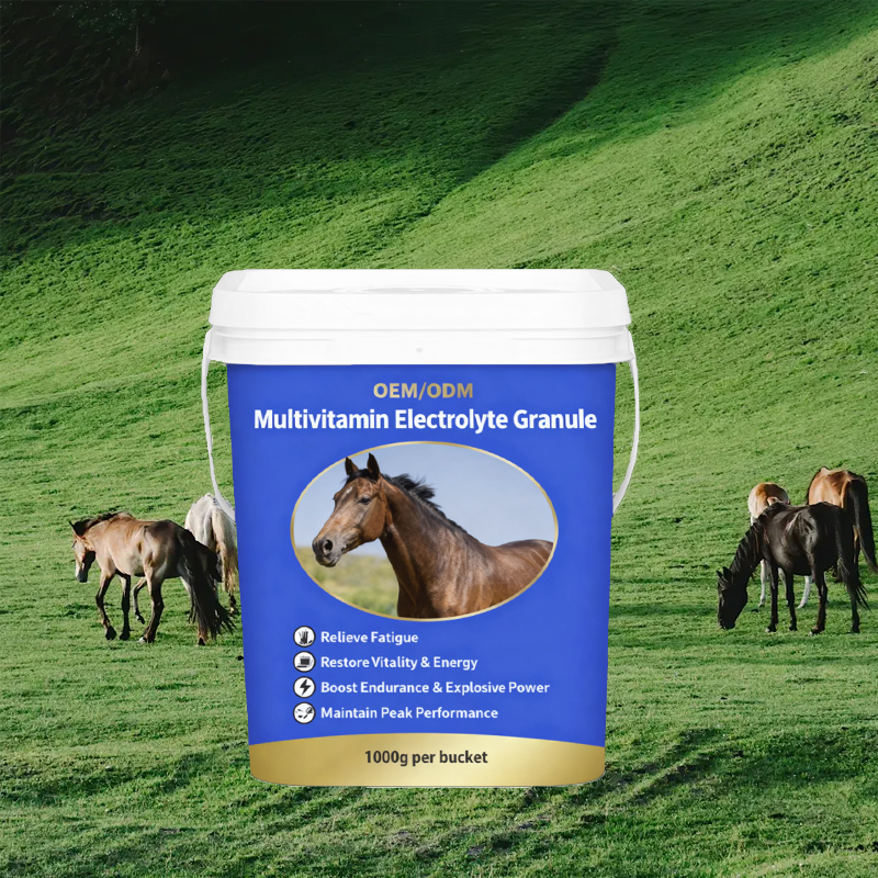 All-Natural Electrolyte and Multivitamin Blend for Horse Performance