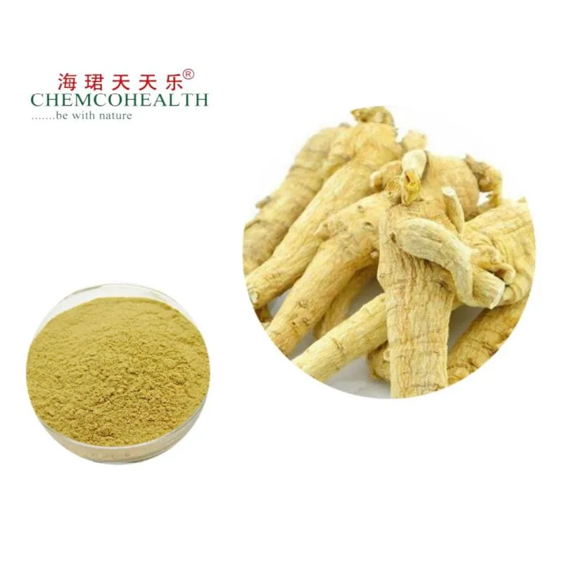 American Ginseng Extract Powder