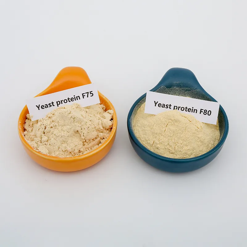 Application Overview