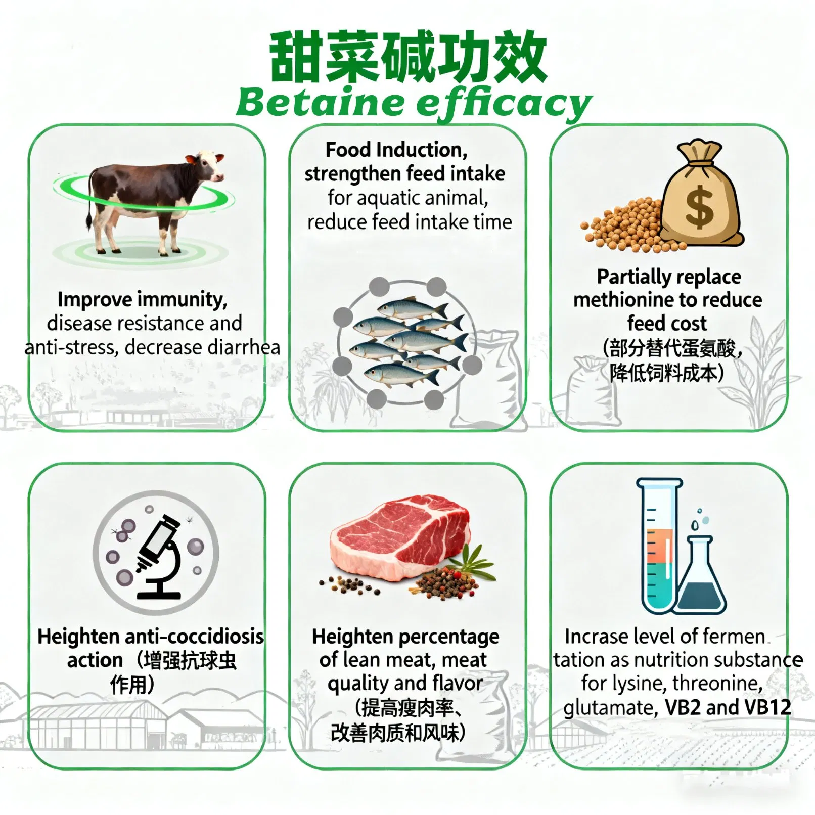 Betaine Anhydrous: Ideal Feed Supplement for Pig, Chicken &amp; Shrimp Farming