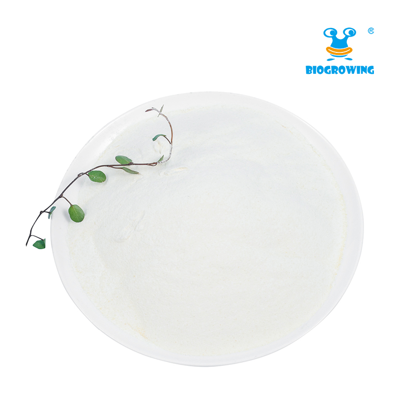 Probiotic Raw Material --- Lacticaseibacillus Rhamnosus for Gut Health and Immune Support