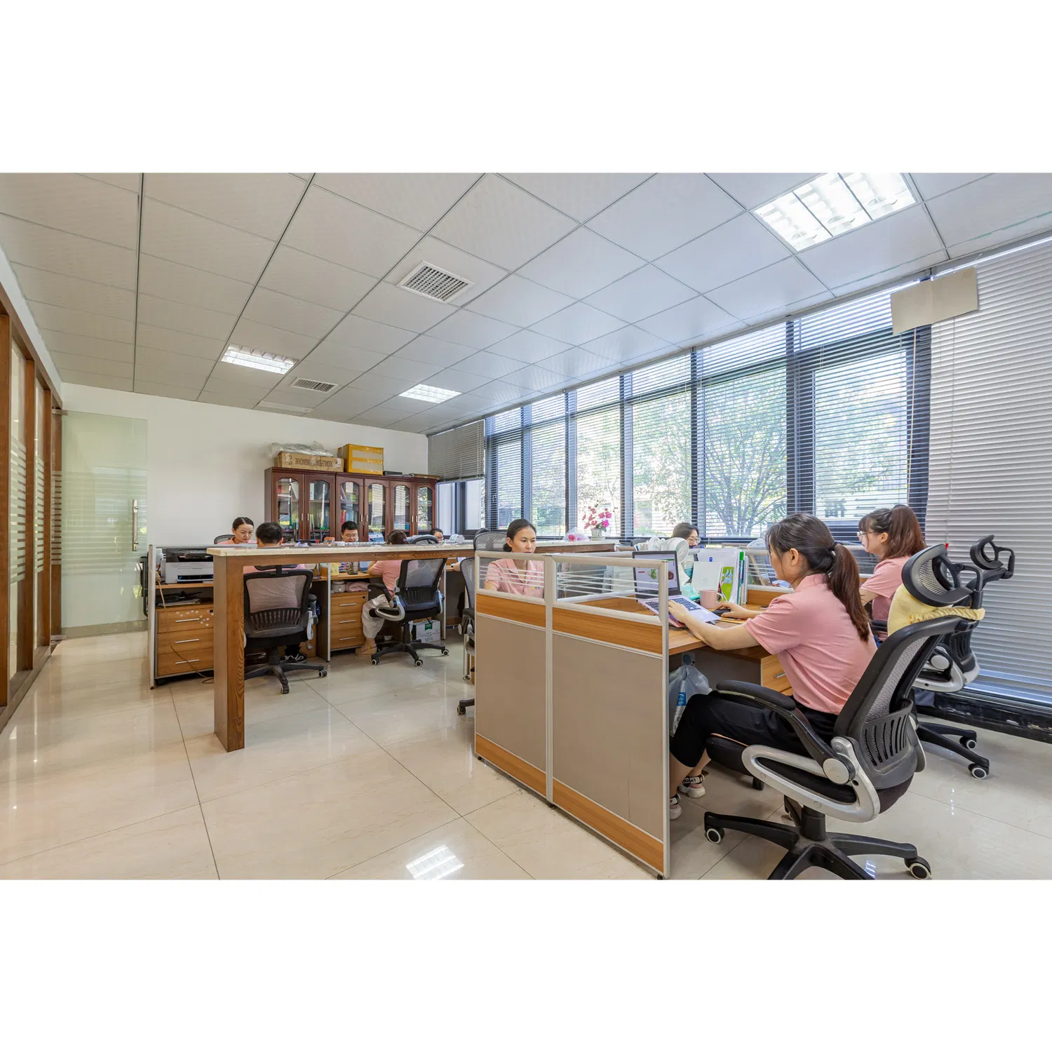 Water Dispersible Omega-3 Fish Oil Powder (7% DHA, 1.5% EPA) Deodorized