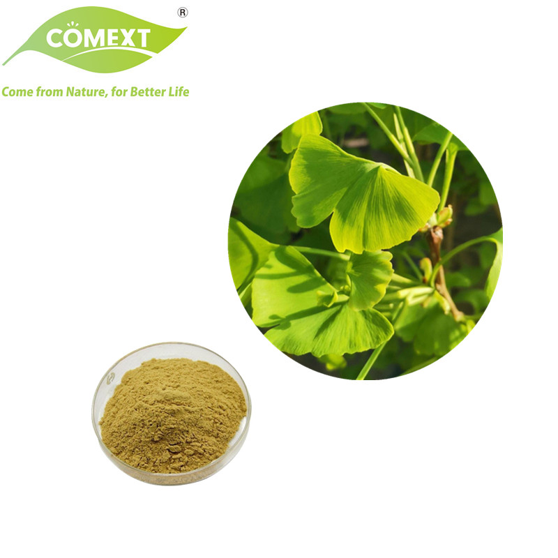 Comext Manufacturer Nutraceutical Plant Herbal Extract Powder Ginkgo Biloba Leaf Extract