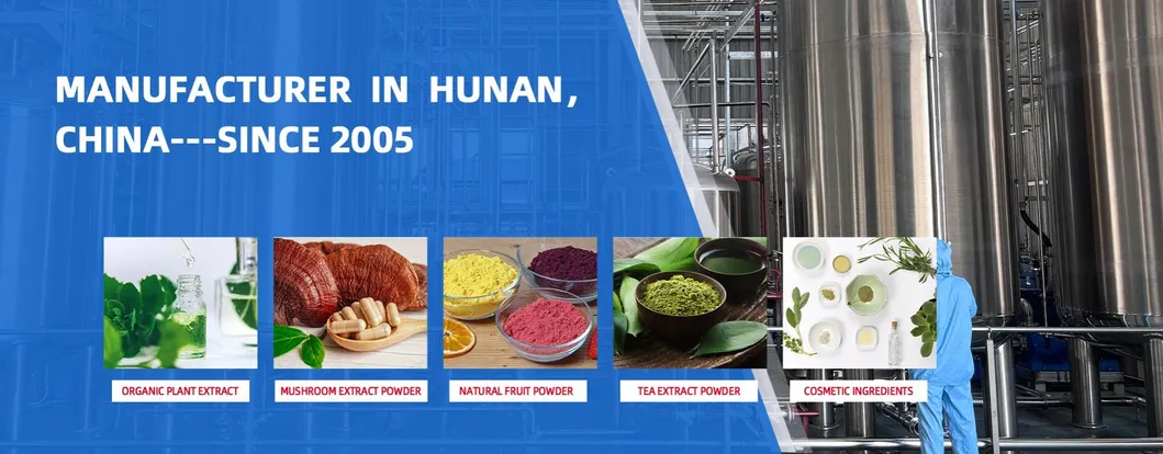 Turmeric Root Extract Curcumin