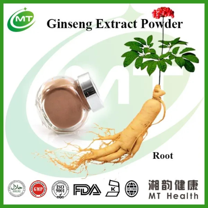 Natural Supplement Panax Ginseng Root Extract Powder Herbal Leaf Stem Extract