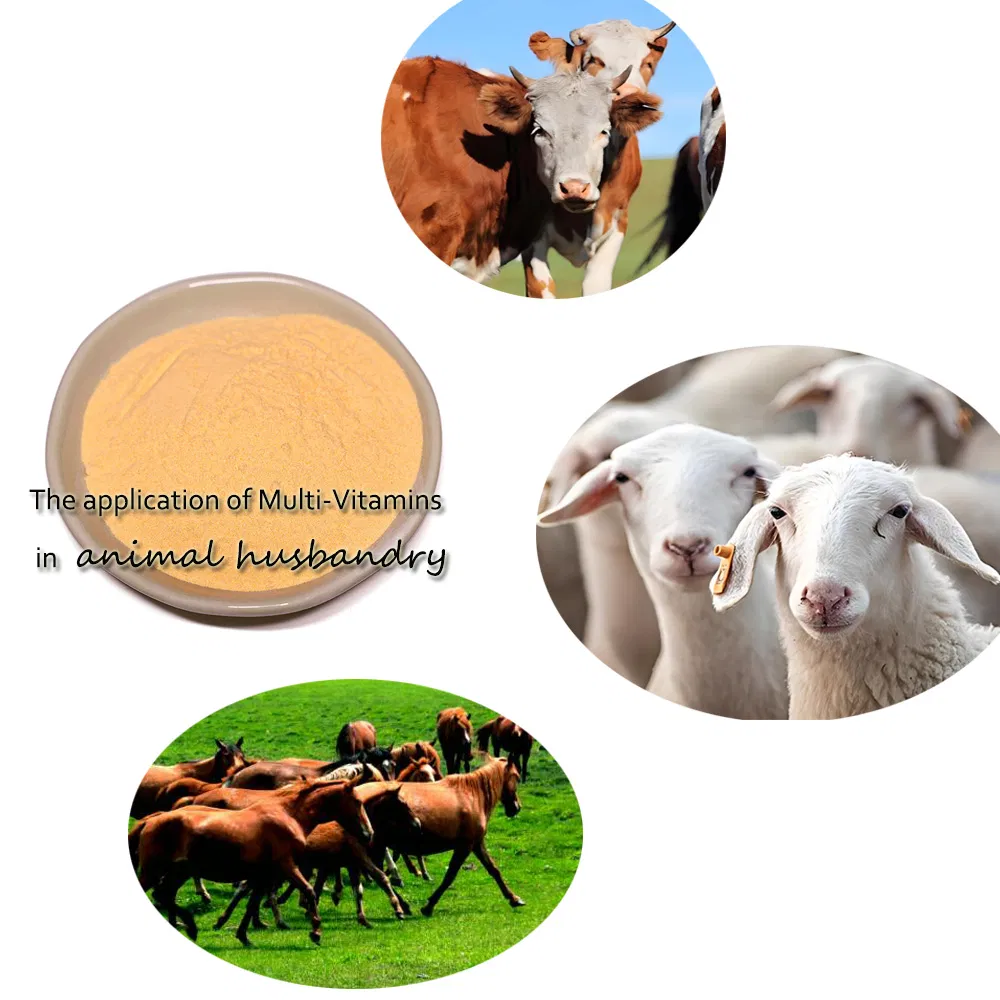 Feed Grade Multi-Vitamin Blend for Animal Feed Boost Immunity &amp; Growth