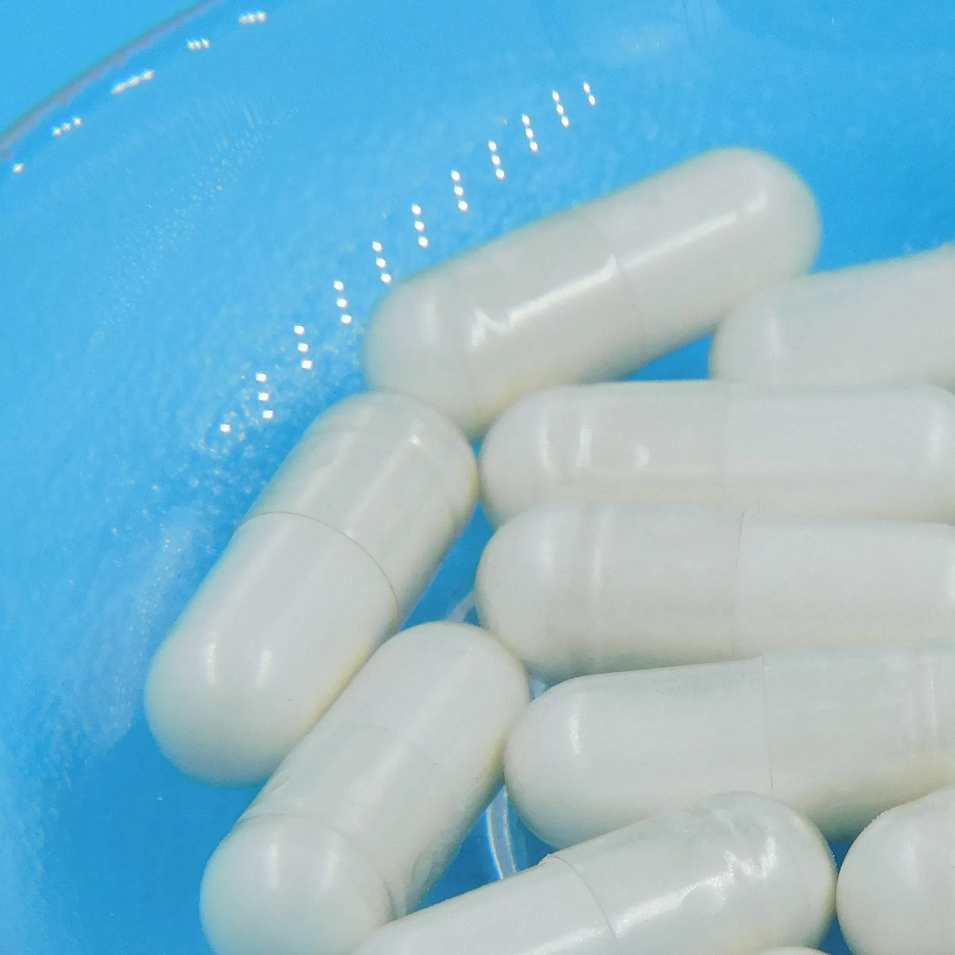 Probiotic Energy Booster for Enhanced Immune System Support