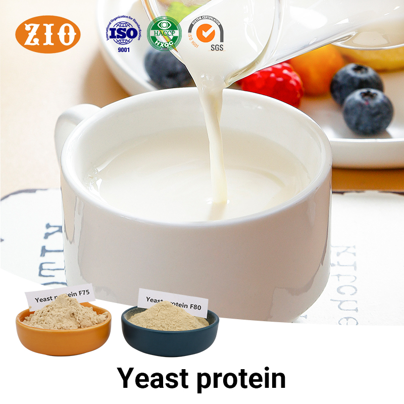 Yeast Proteinfood Grade Sports Nutrition Yeast Protein 75% 80% Yeast Protein Powder