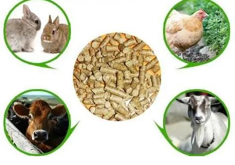 Food Grade Thermostable Phytase Enzyme Powder for Food Feed Industry