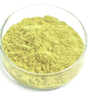 Scutellaria Baicalensis Extract 85% Baicalin Anti-Inflammatory &amp; Antiviral Agent CAS 21967-41-9 Factory