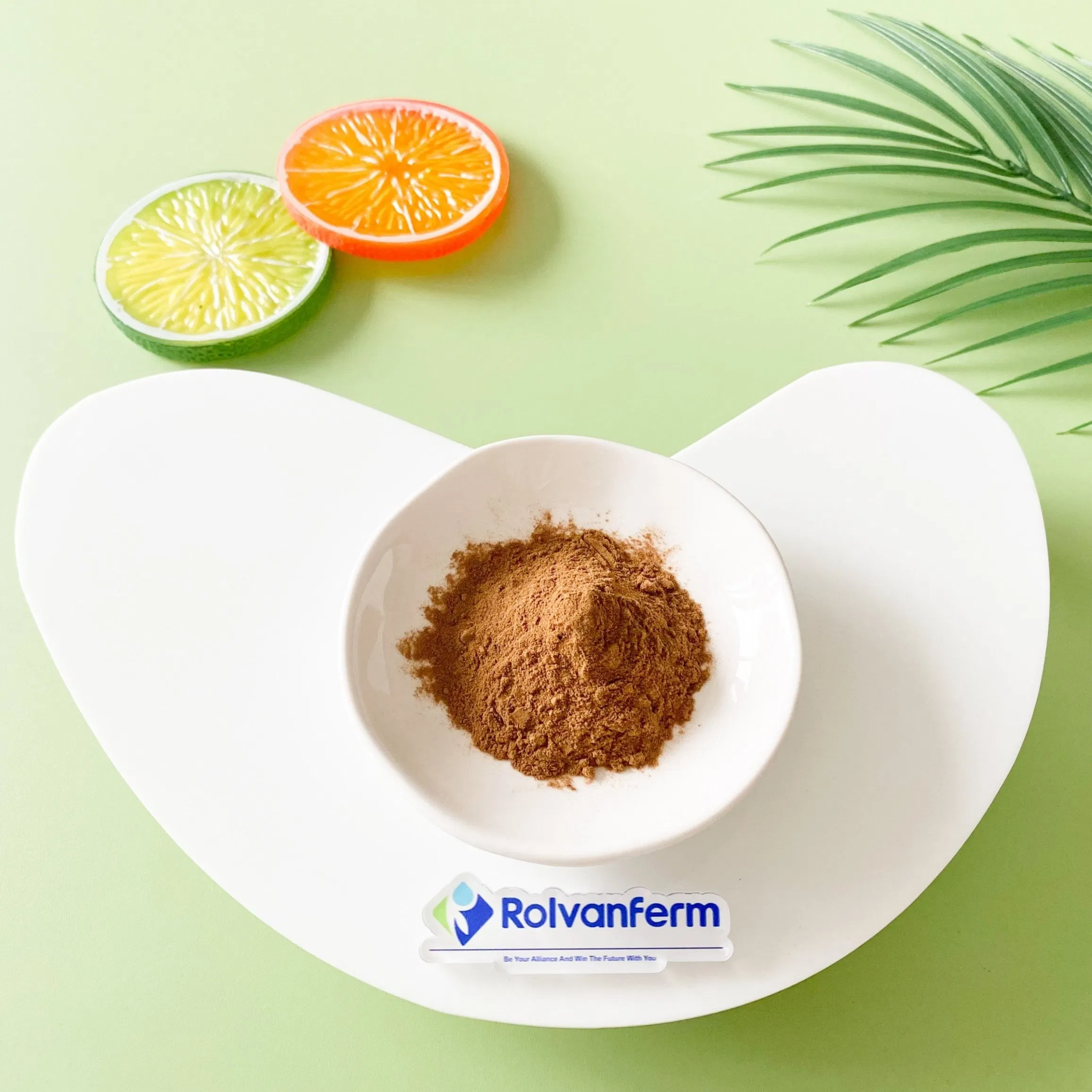 High-Bioavailability Liposome Silymarin for Antioxidant Support and Functional Nutrition Applications