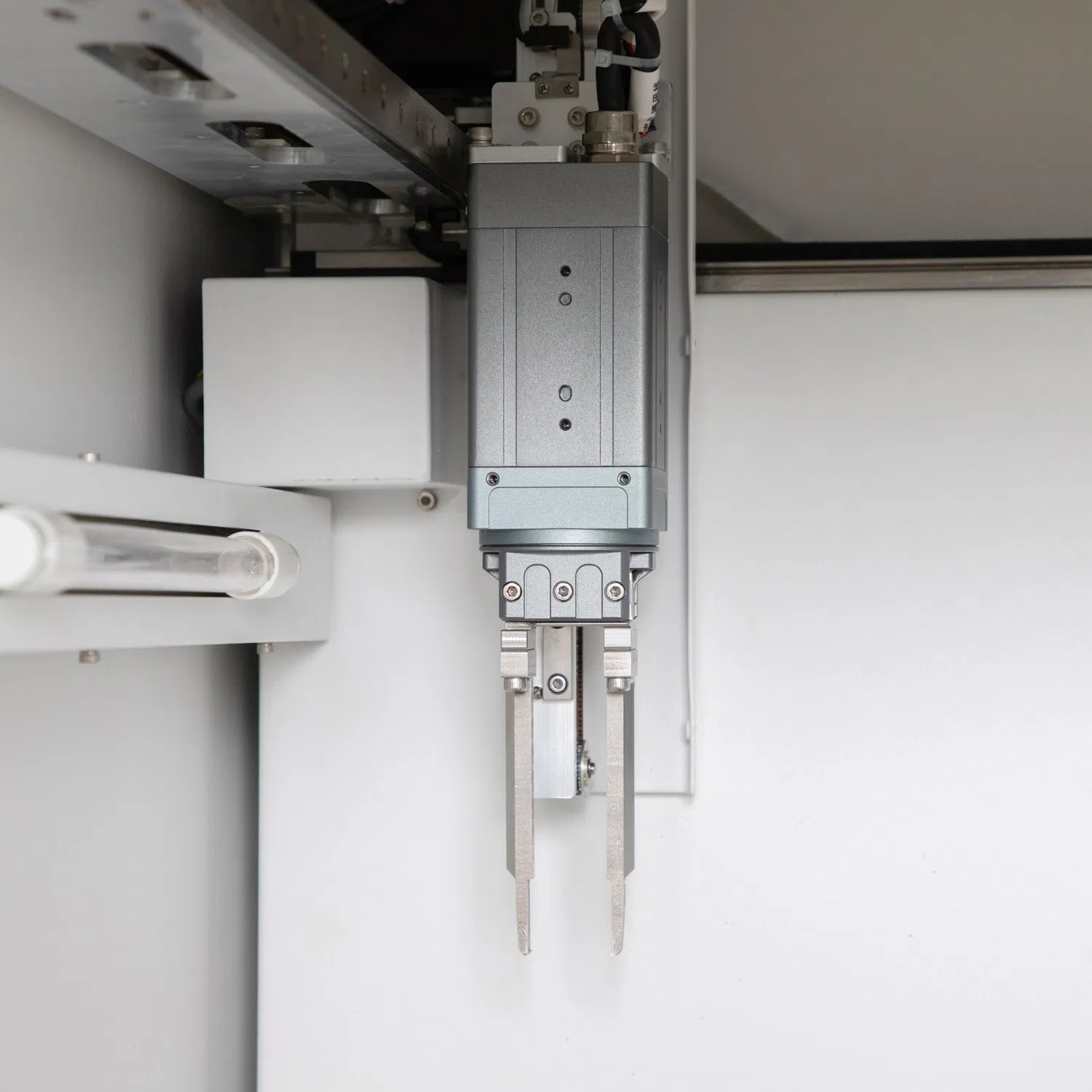 Pediatric Nutrition &amp; Heavy Metal Icp-Ms for Healthy Development