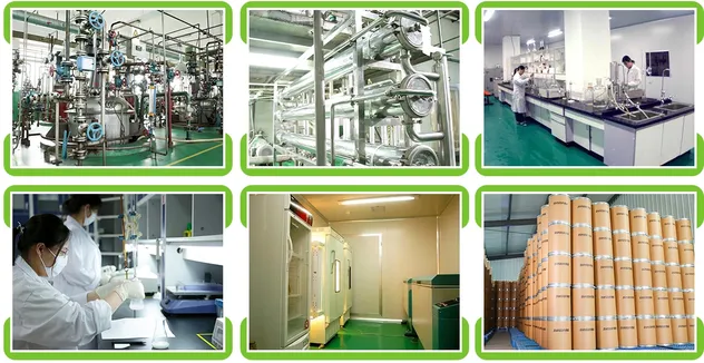 Production Facility 3