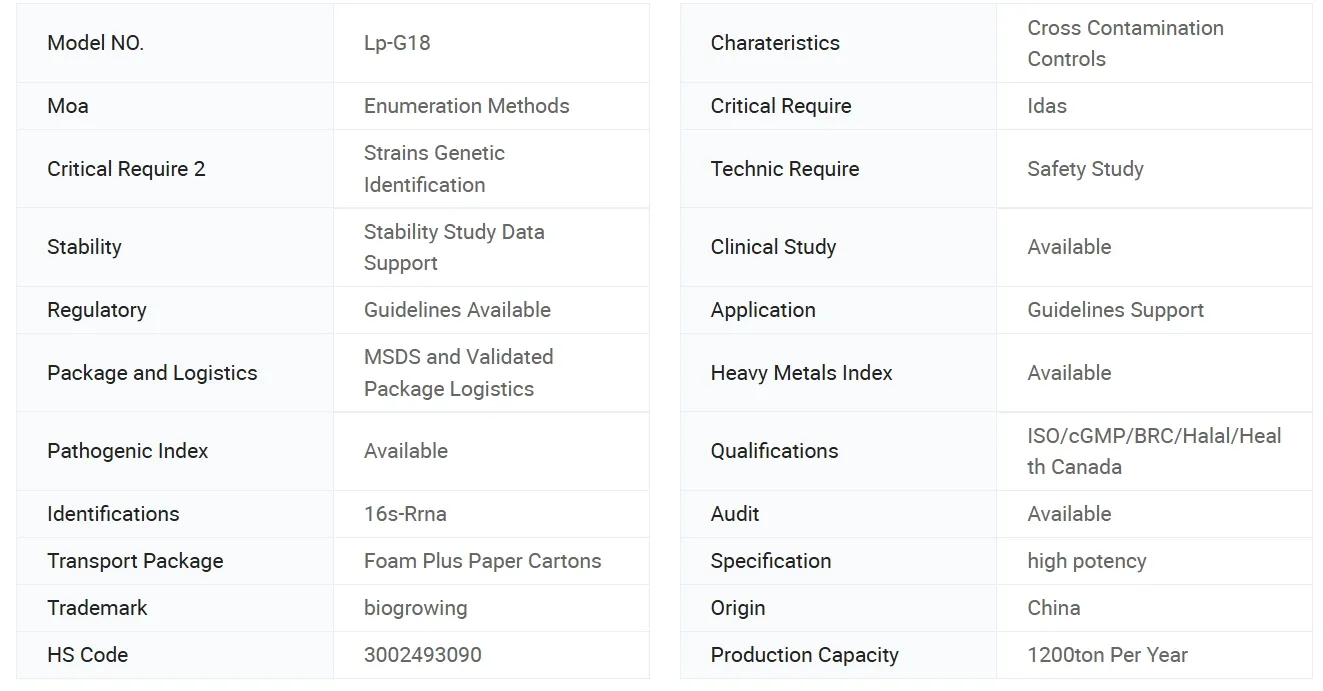 Probiotic Strains Overview