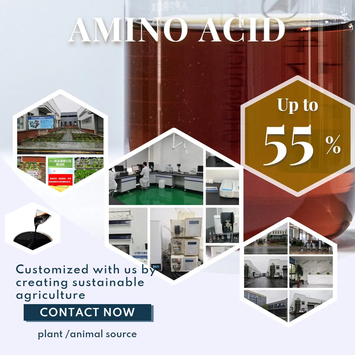 All-Natural Amino Acid Fertilizer for Enhanced Plant Growth