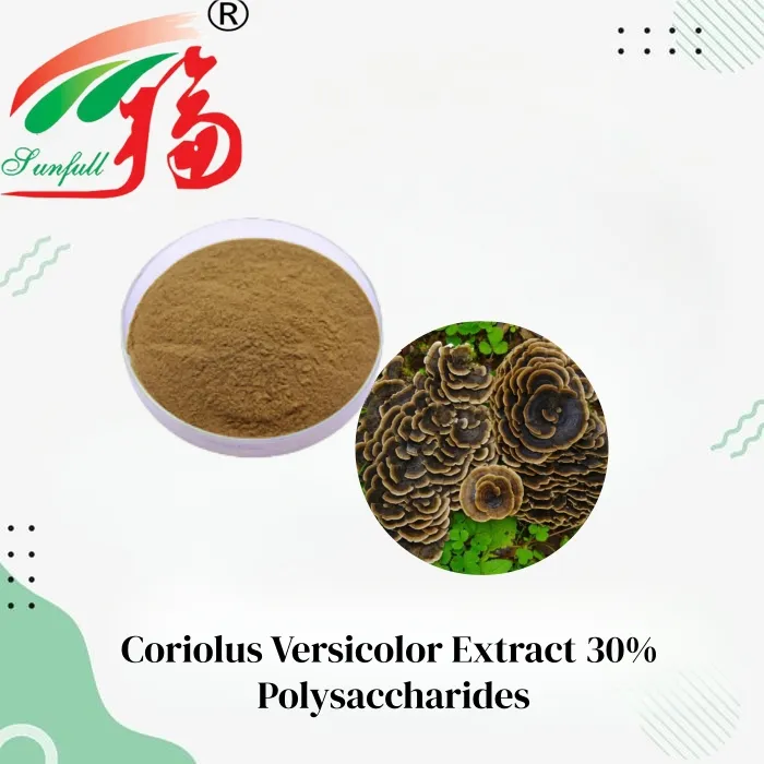 Coriolus Versicolor Extract Banner