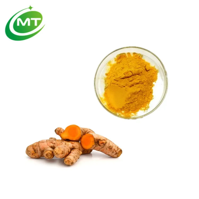 Food Grade Supplement Curcumin Turmeric Root Extract Powder Natural Curcuma Longa Extract