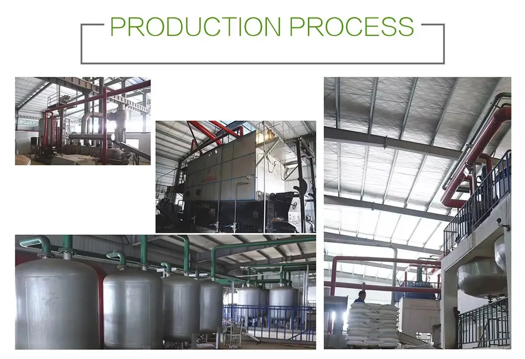 Production Process