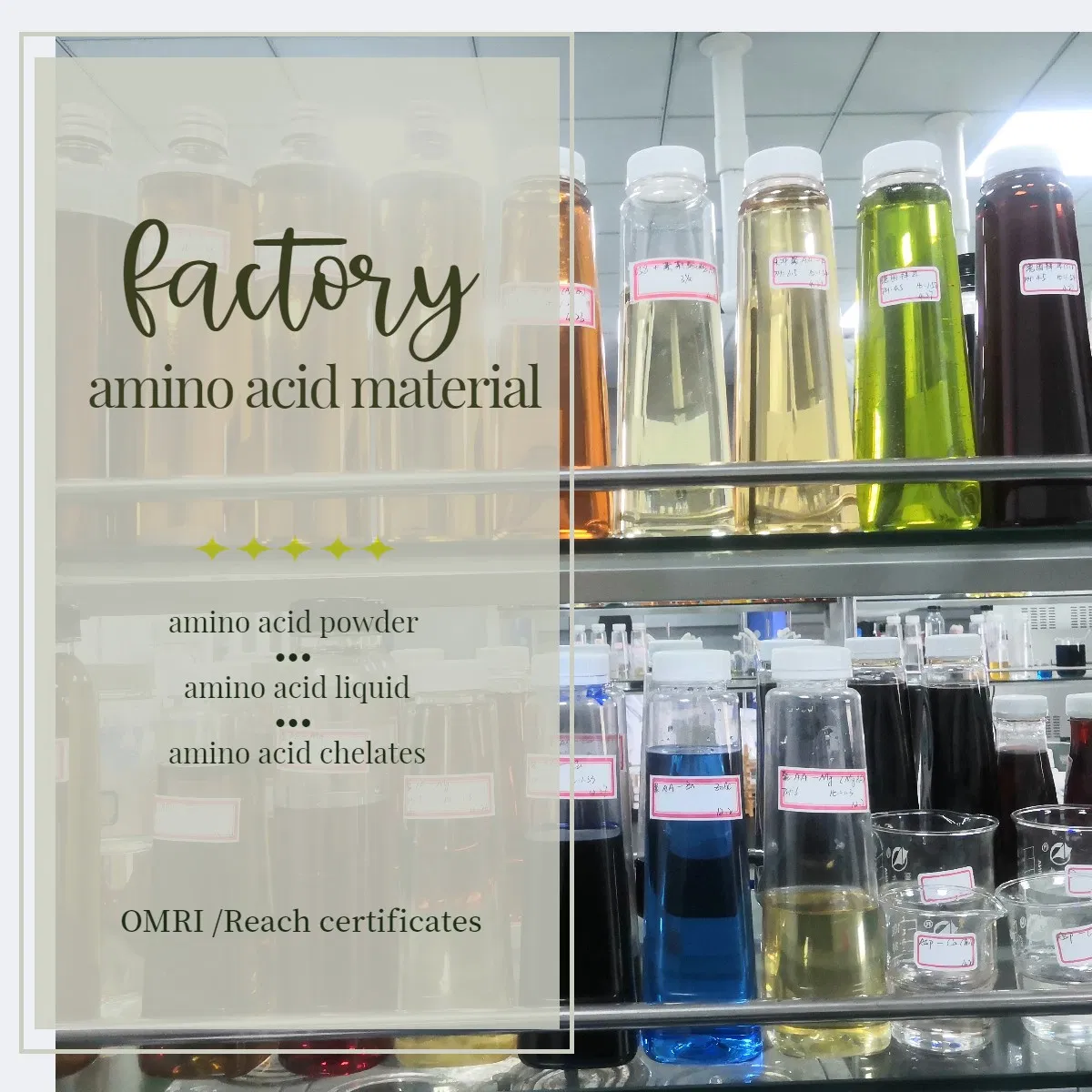 Premium Trace Element Bio Fertilizer with Amino Acids for Plants